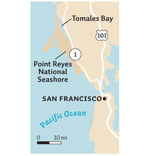 Map of the Bay Area, pointing out Tomales Bay and Point Reyes.