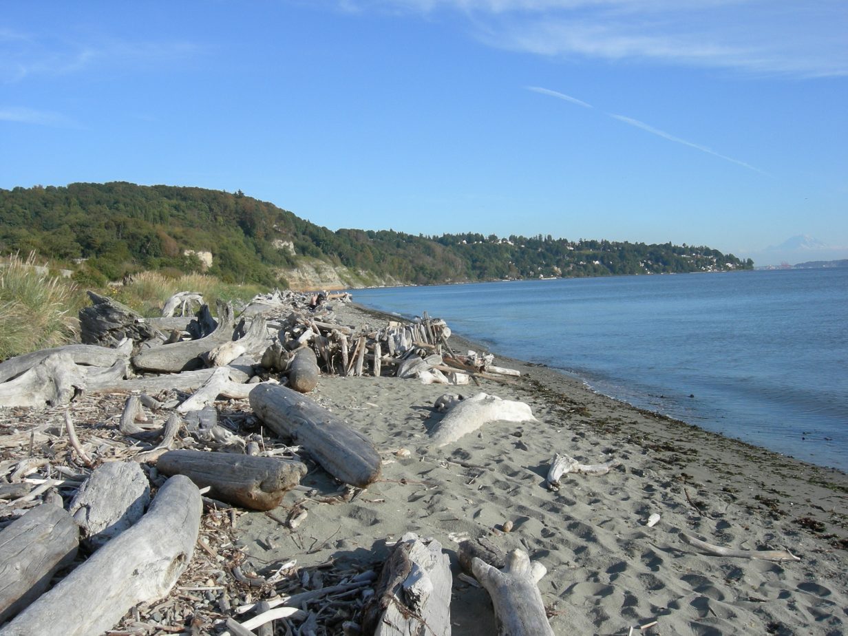 beach at Discovery Park loop trail, Seattle