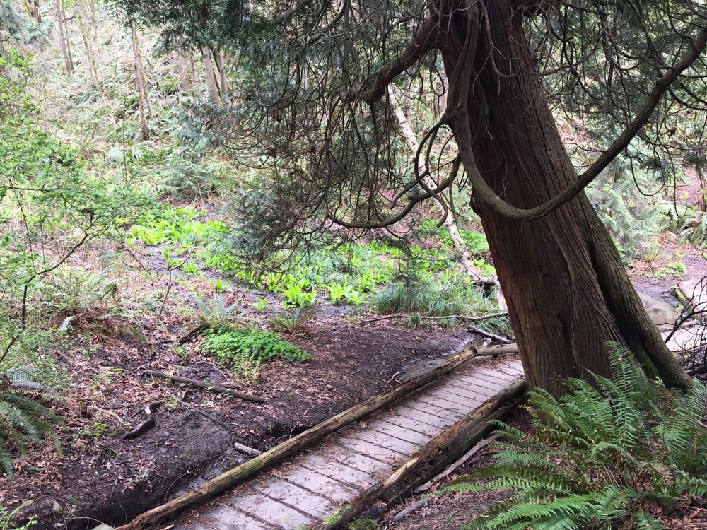 Frink Park, Seattle, walking trail